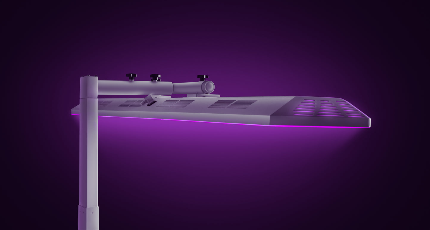 Revive 360
